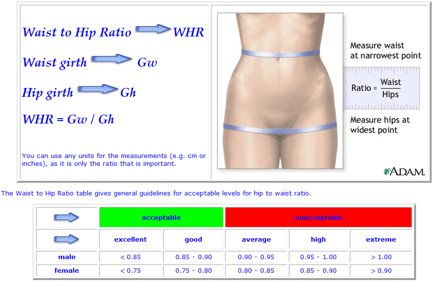 Measuring Waist To Hip Ratio And What It Indicates- HealthifyMe