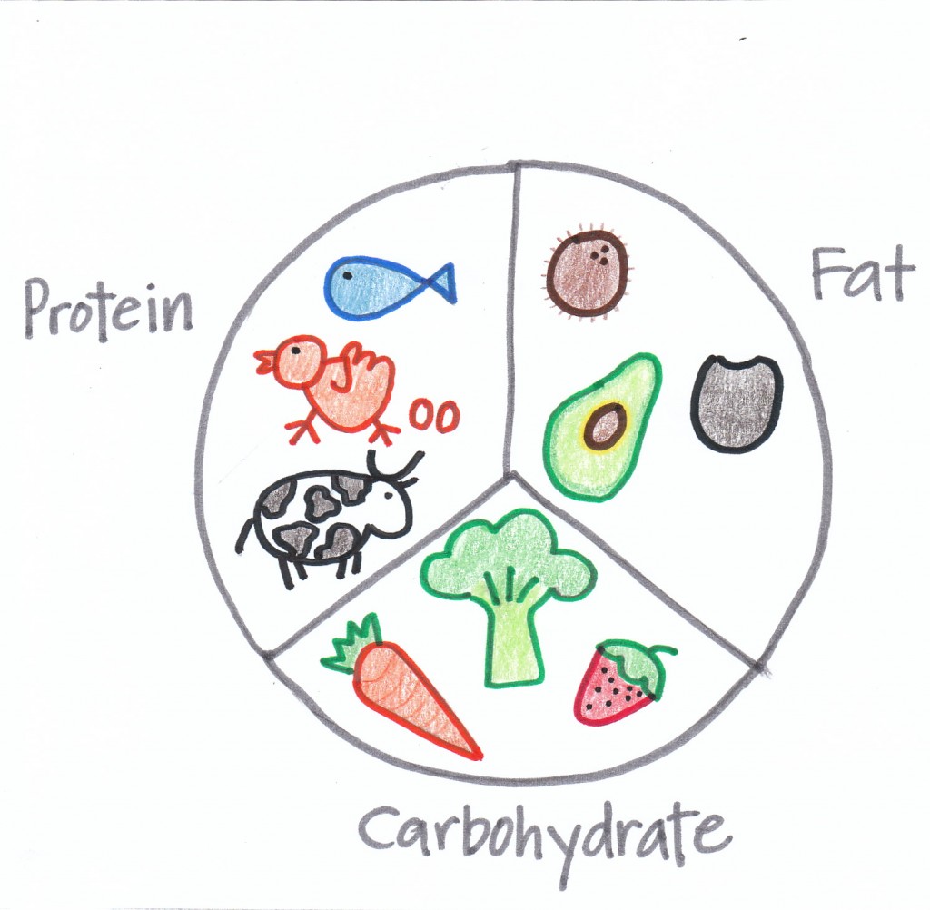 why-macro-nutrients-matter-pilates-1901