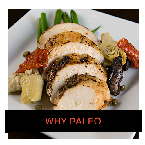 Why Paleo