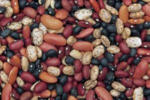 carb-beans